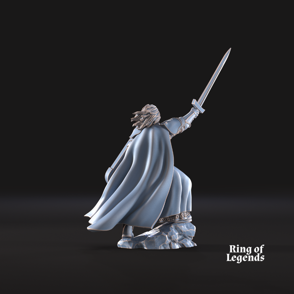 Capitán guerrero cisne - Cisne blanco