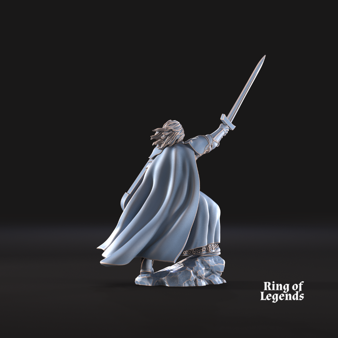 Capitán guerrero cisne - Cisne blanco