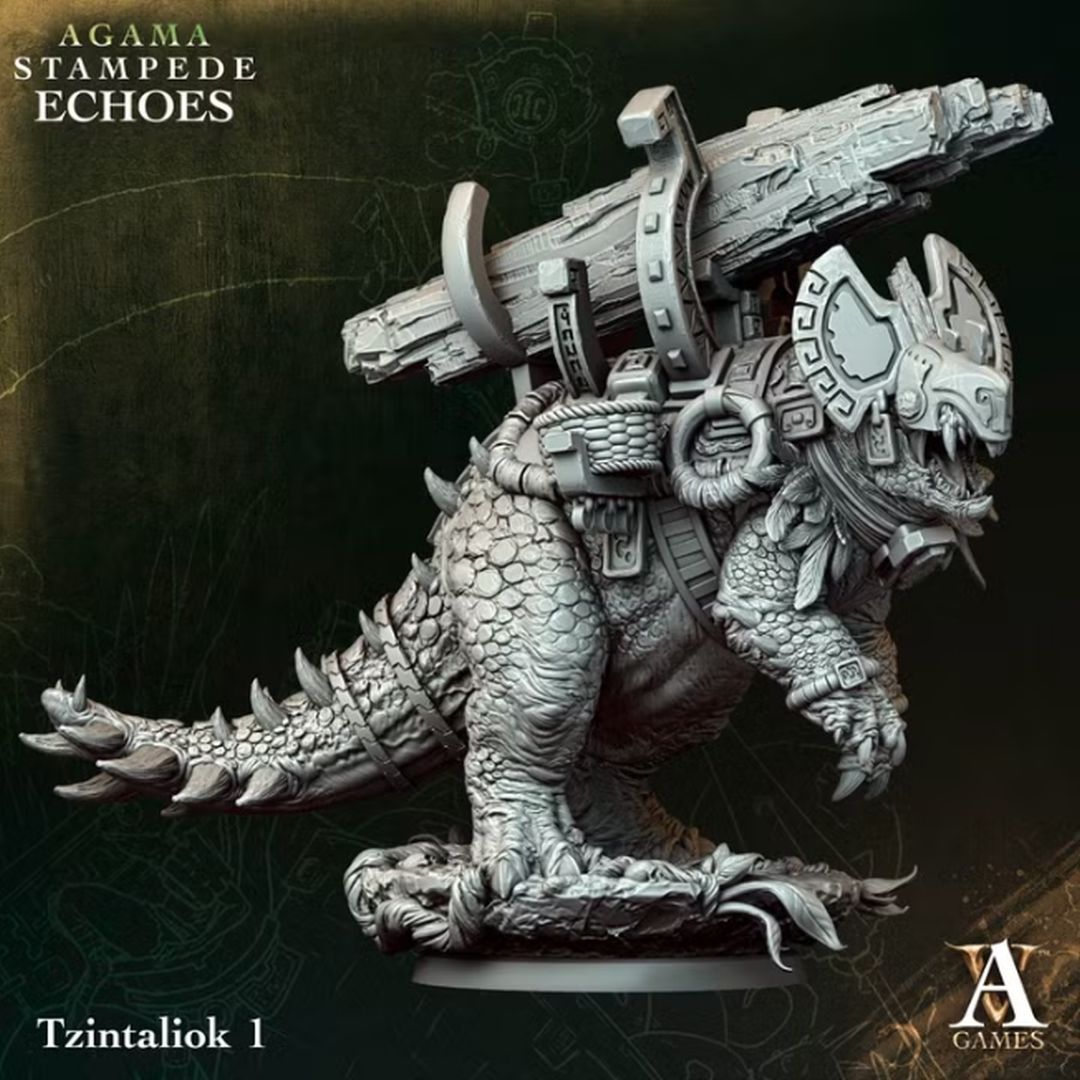 Agama - Tzintaliok 1