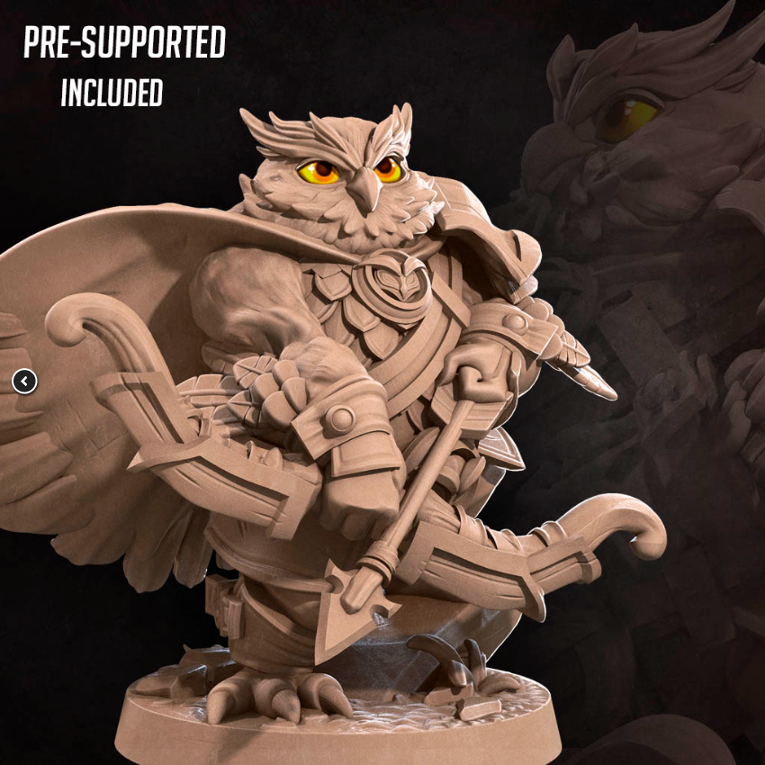 Owlfolk Ranger