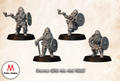 Dwarves With Axe And Shield