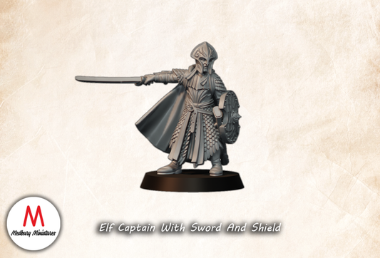 Elf Captain With Sword And Shield