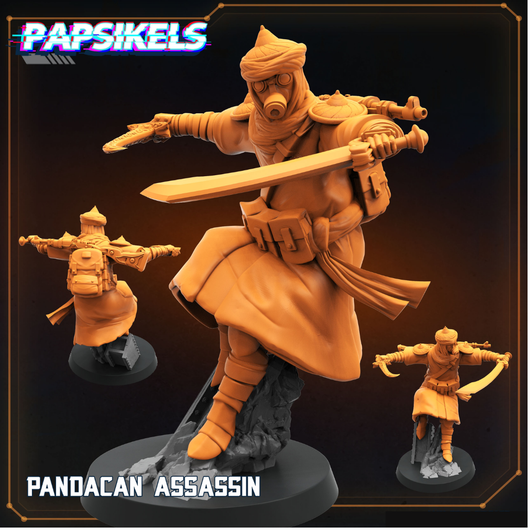 Pandacan Assassin