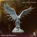 Solstice - Solarwing Phoenix 1