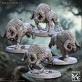 Beastmen II - Wild Gorox (4 Minis)