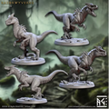Falgor's Swamp II - Razorwyverns (4 Minis)