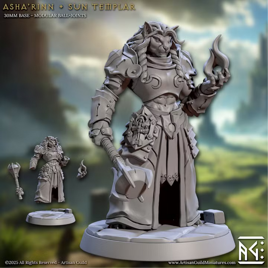 Solarmane Rakshakin - Asha'Rinn - Sun Templar