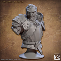 Vanguard Fighters - Vanguard Fighter Male (Bust)
