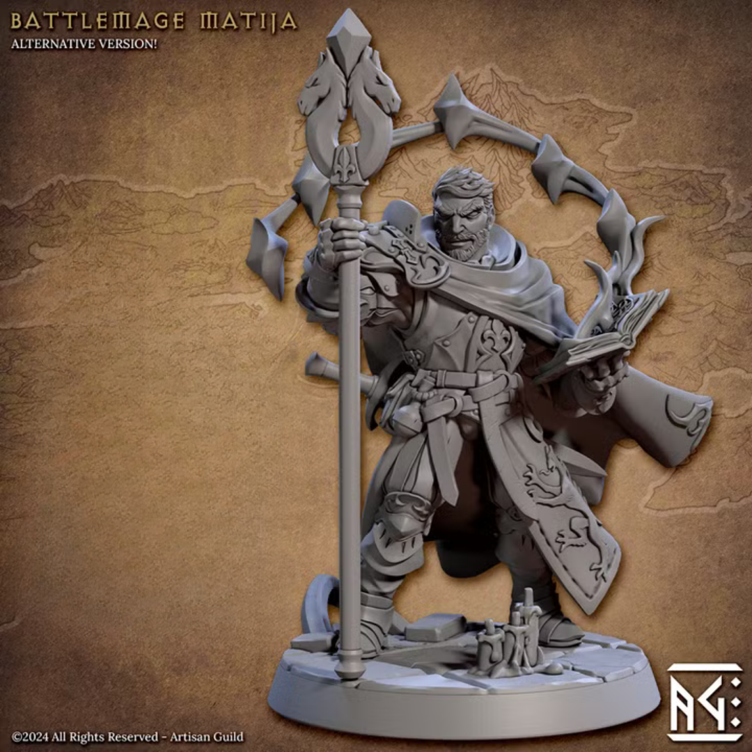 Vanguard Fighters - Battlemage Matija