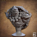 Jadeshell Turtlekin - Tso'Ok - Raging Wrath (Bust)