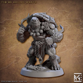 Jadeshell Turtlekin - Tso'Ok - Raging Wrath