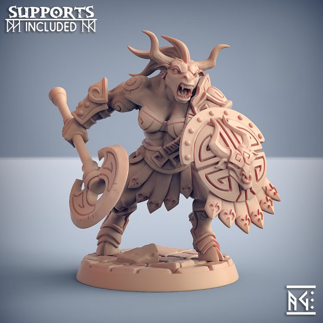 Labyrinth Order - Labyrinth Minoc - Modular D