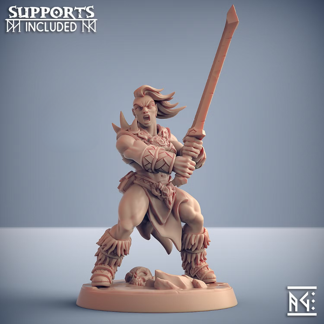 Dragonpeak Barbarian D