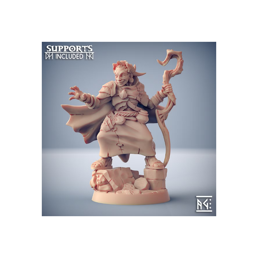 Scourgeland Survivor - Nanaari the Wise Woman