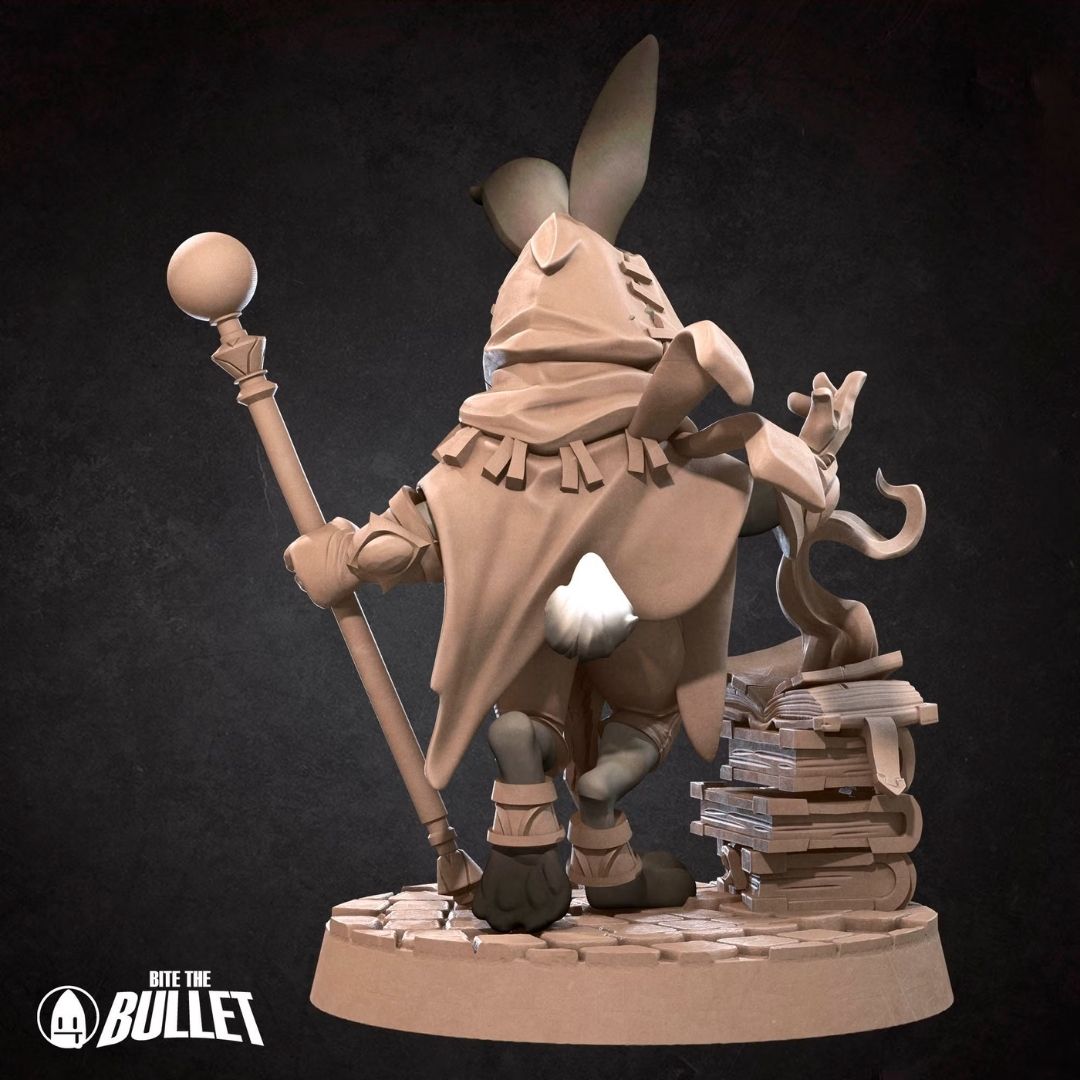 Harengon Wizard