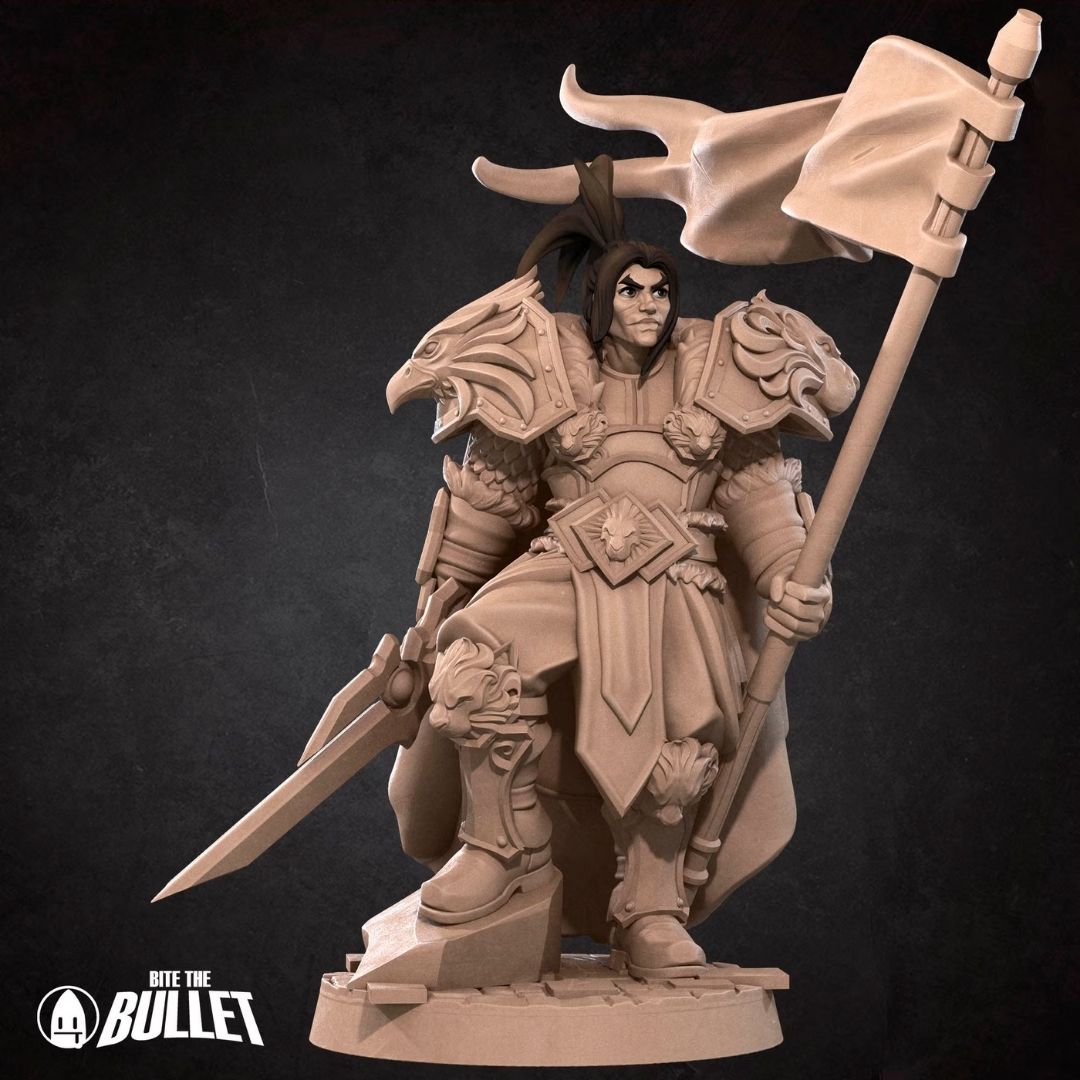 Alliance High King Warrior (Banner)