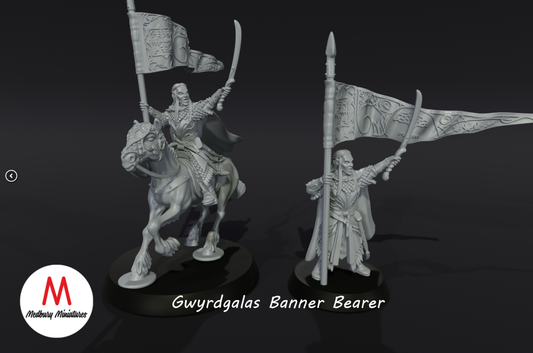 Gwyrdgalas Banner Bearer F/M