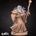Human Harper Wizard