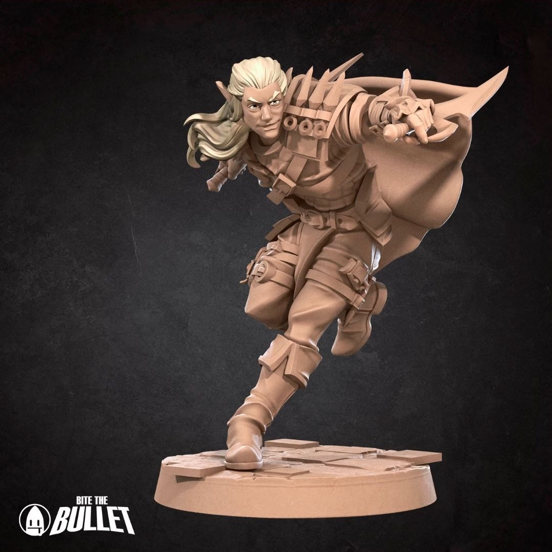 Elf Rogue