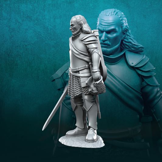Capitán veterano del Castillo Gris V1