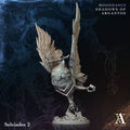 Moondance - Seleiades 2