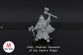 Vidar, Dwarf champion of the Saphire Ridges