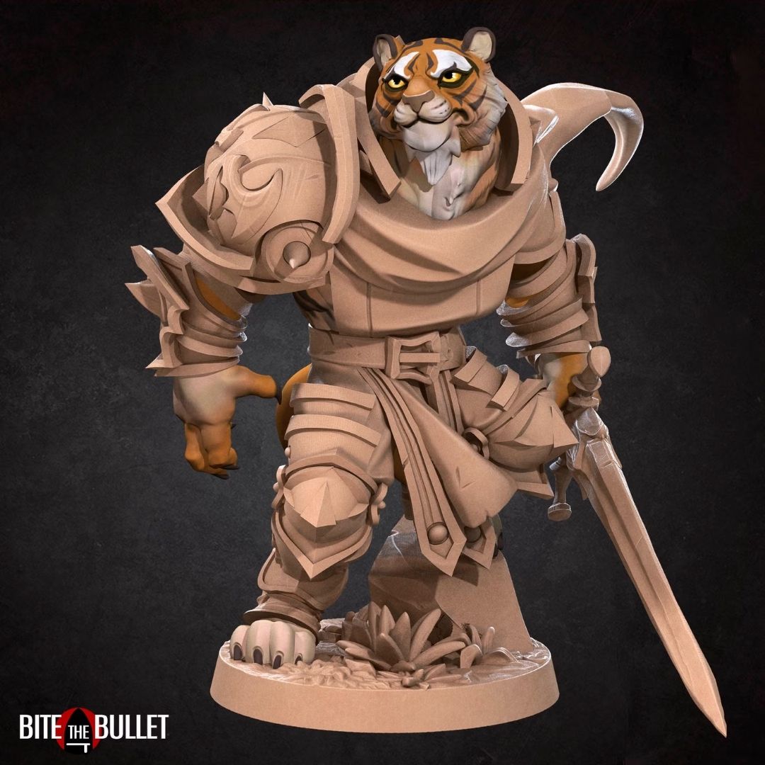 Tabaxis - Tabaxi Paladin
