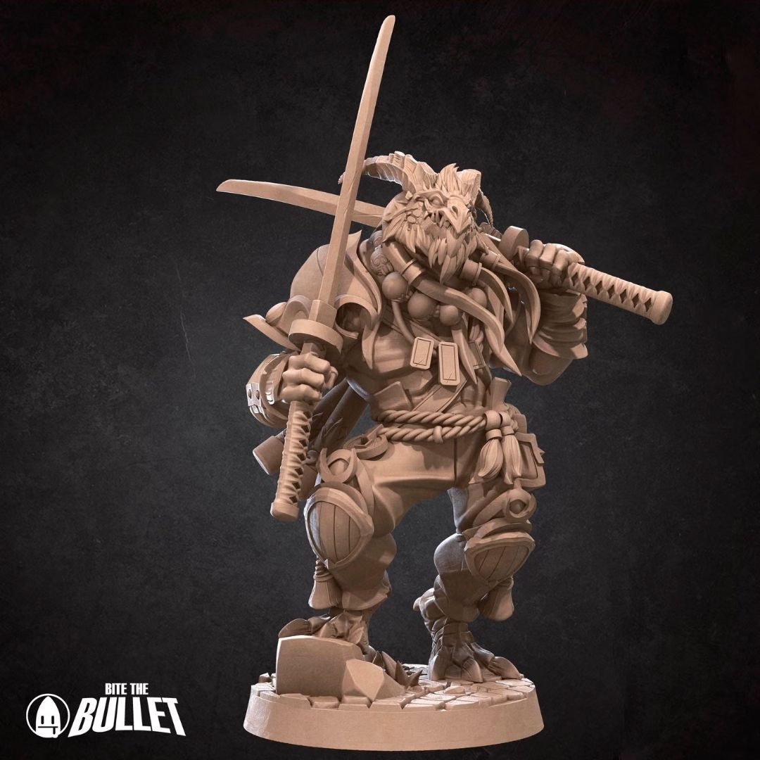 Dragonborn Monk