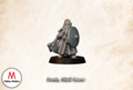 Durnir, Dwarven Shield Bearer