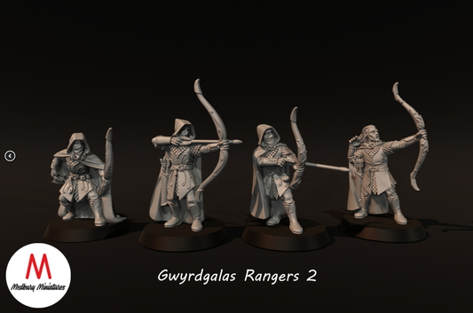 Gwyrdgalas Rangers 2