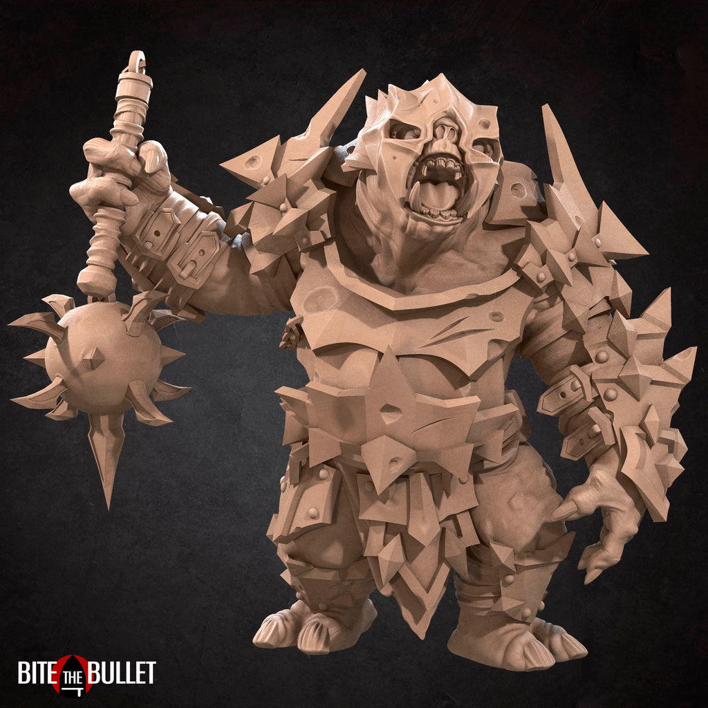 Battle Troll
