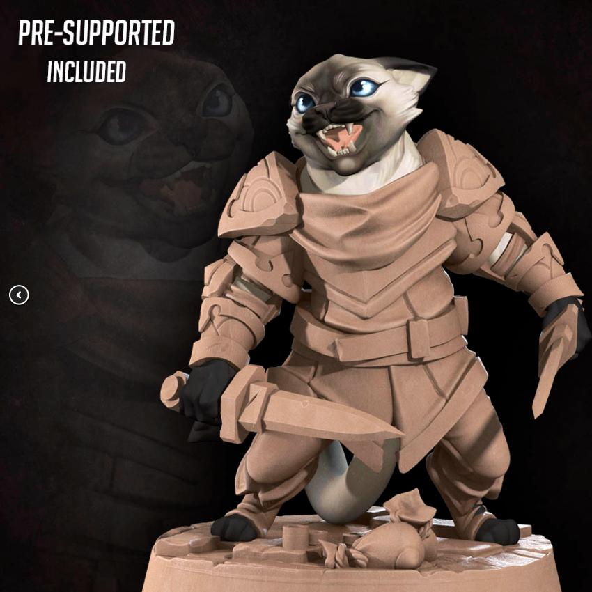 Cat Rogue