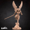Aasimar Paladin