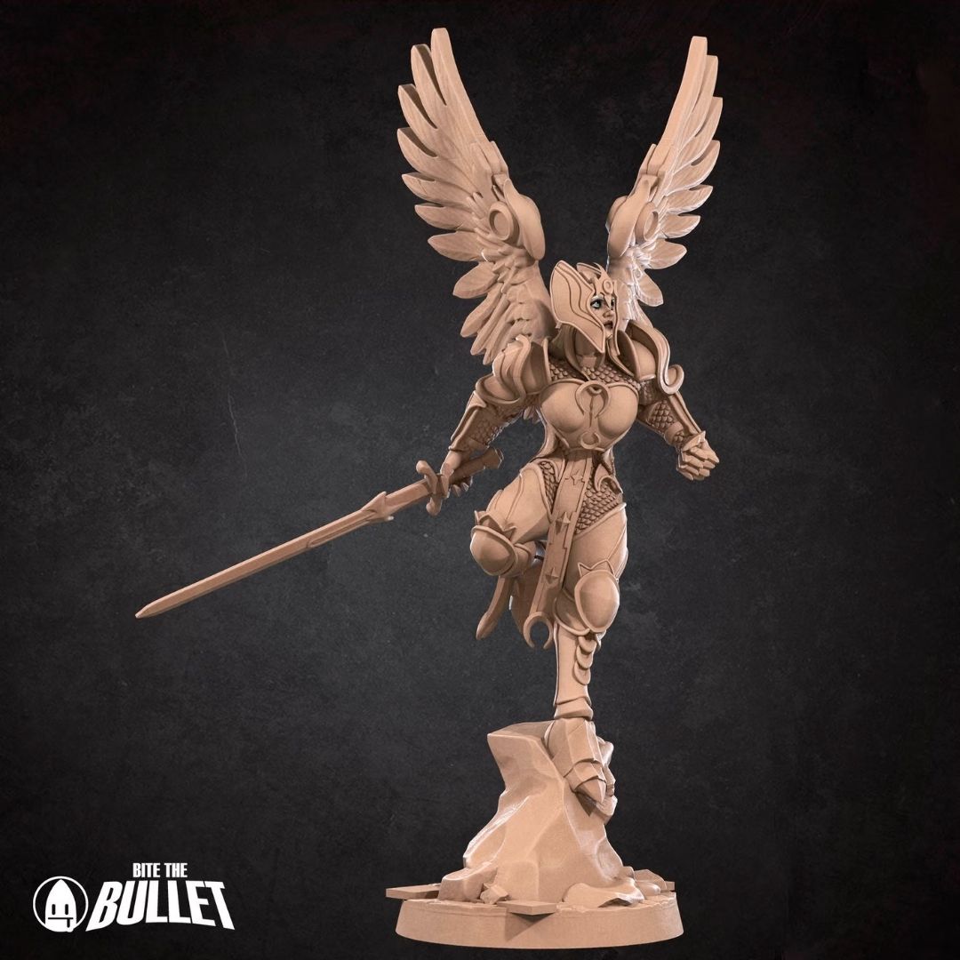 Aasimar Paladin