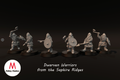 Dwarves of the Saphire Ridges Dwarf Warriors with Axes