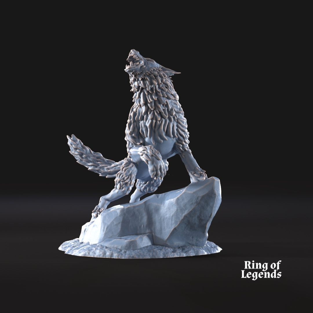 Irreverente lobo huargo Solitario