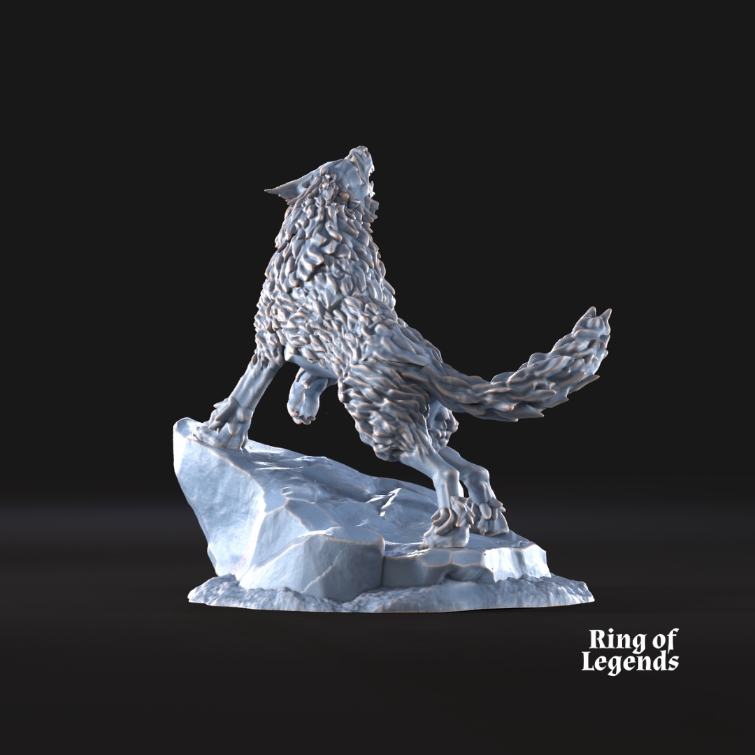 Irreverente lobo huargo Solitario