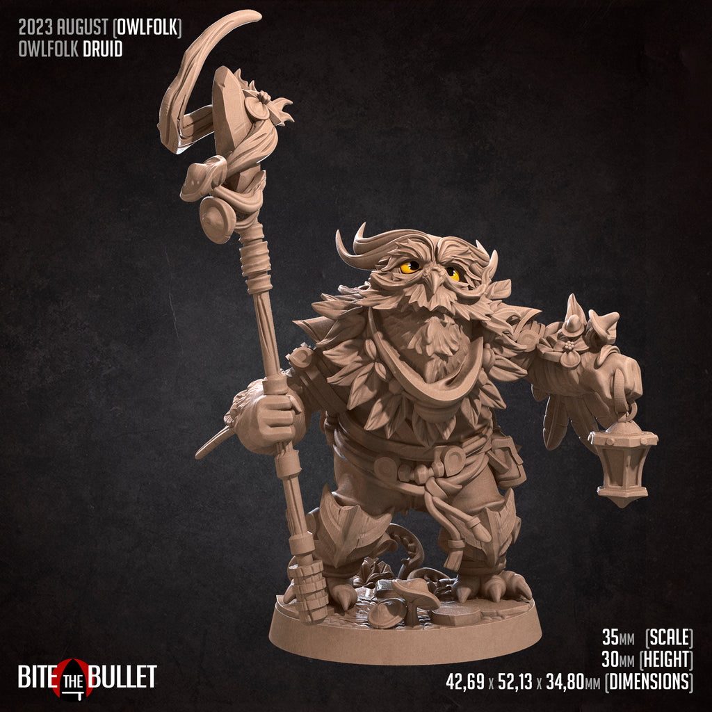 Owlfolk Druid