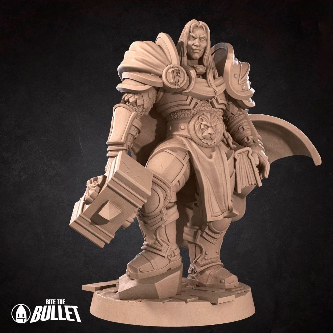 Human Prince Paladin