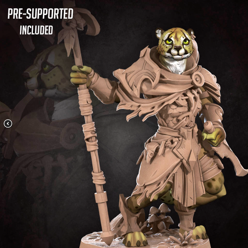 Tabaxi Ranger