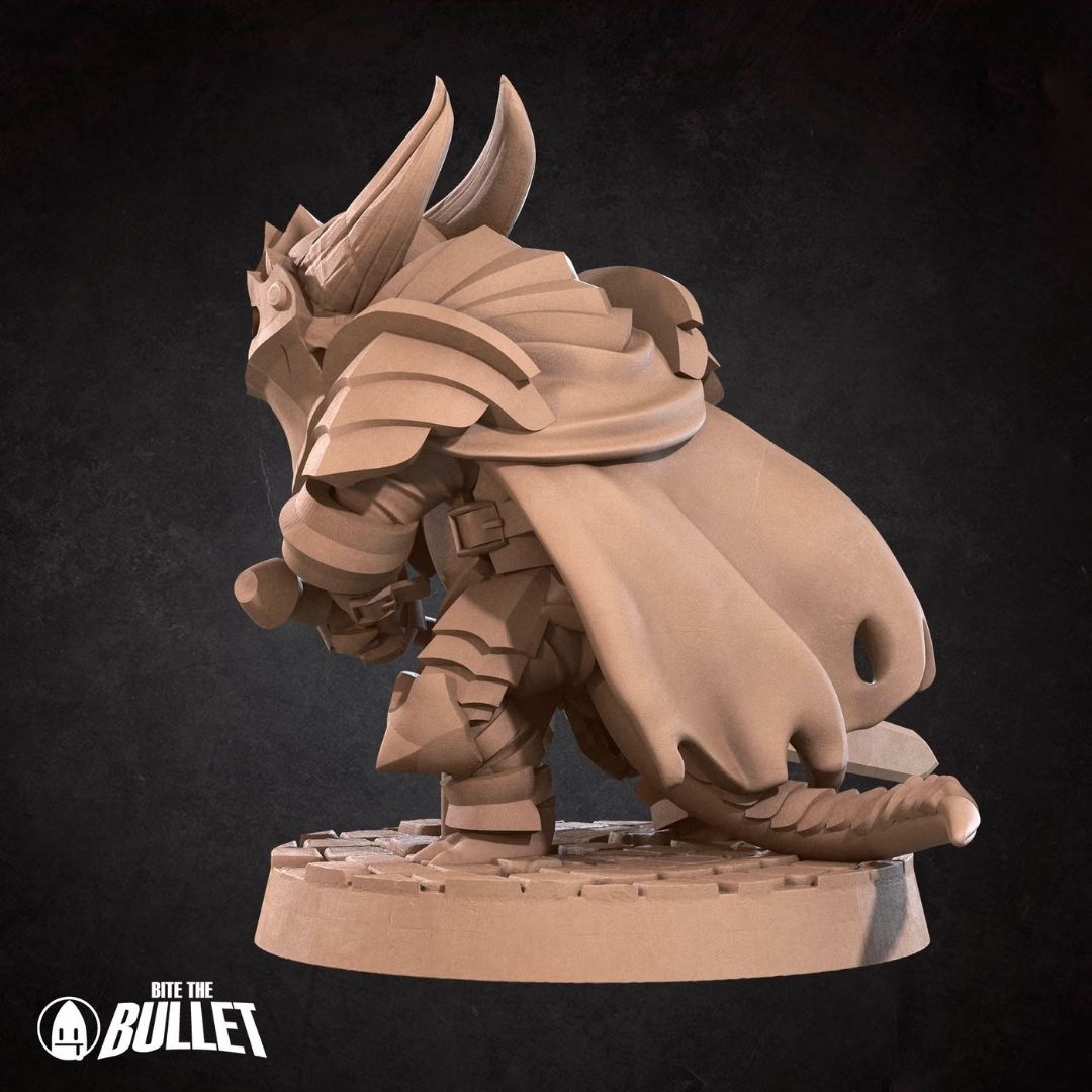 Kobold Paladin