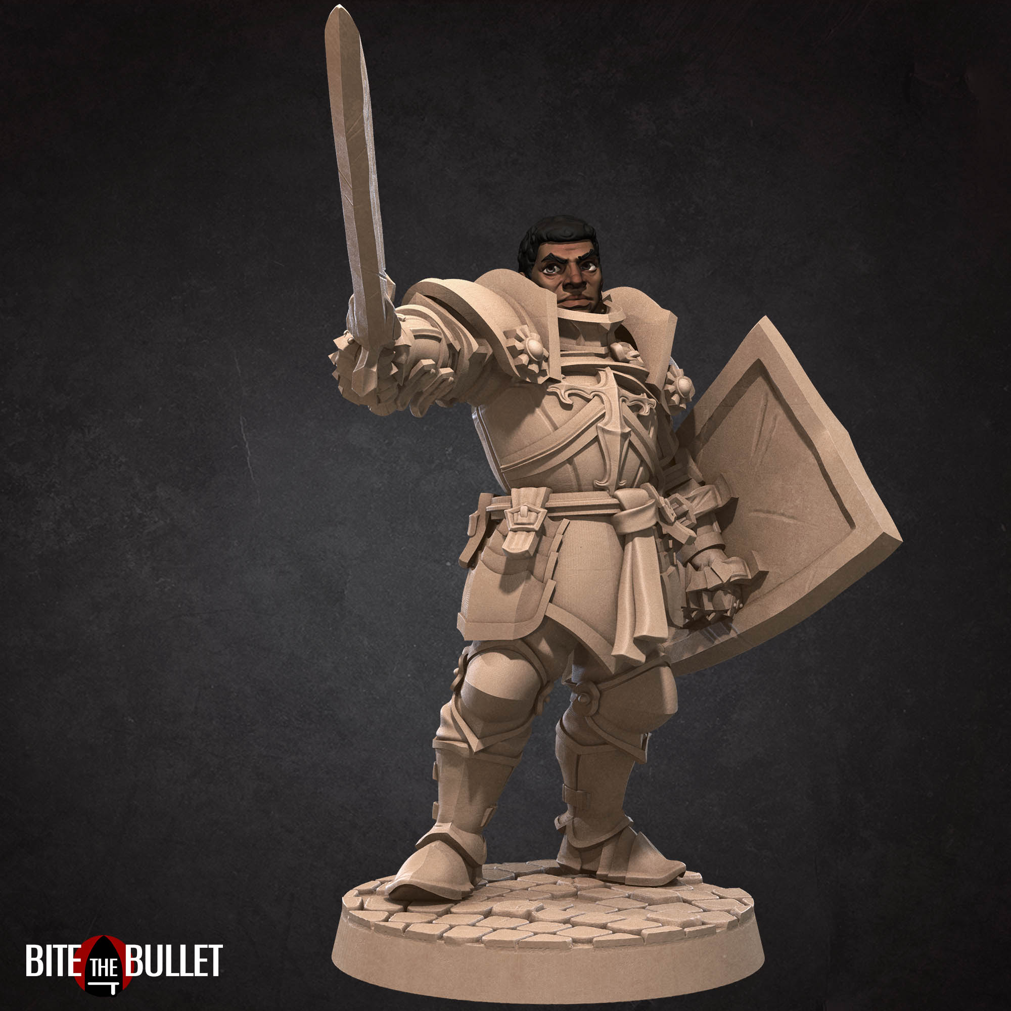 Hero Paladin