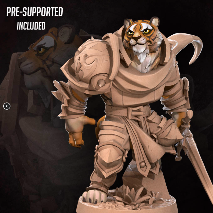 Tabaxi Paladin