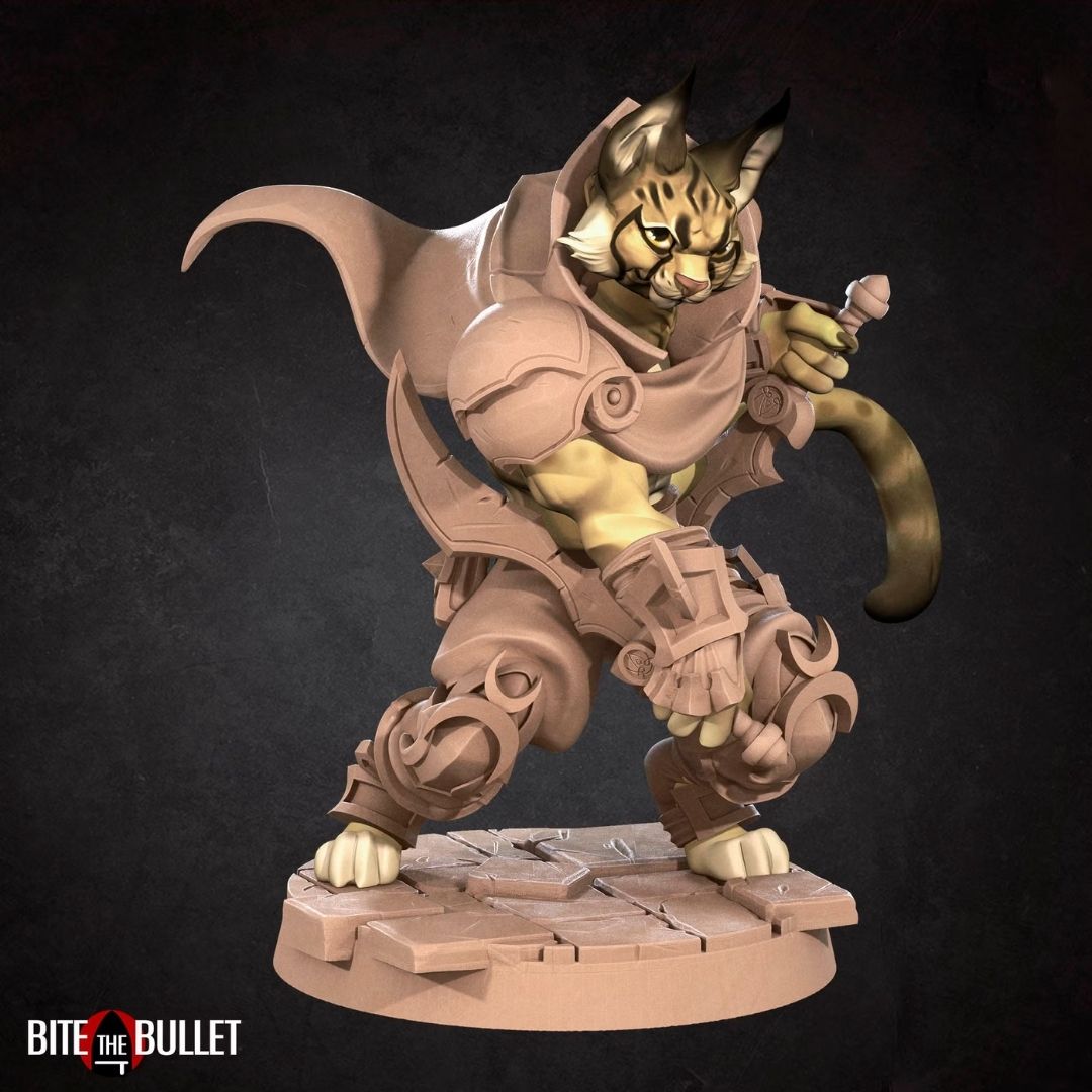 Tabaxis - Tabaxi Rogue