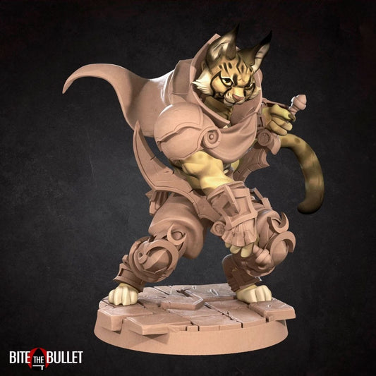 Tabaxis - Tabaxi Rogue