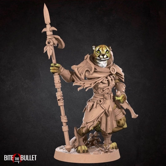 Tabaxis - Tabaxi Ranger