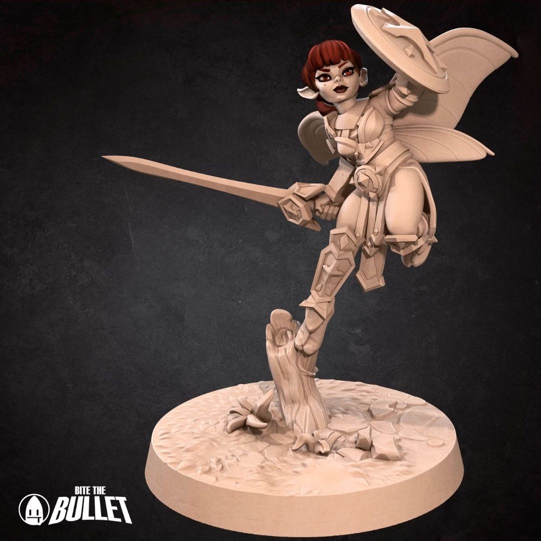 Pixie Paladin