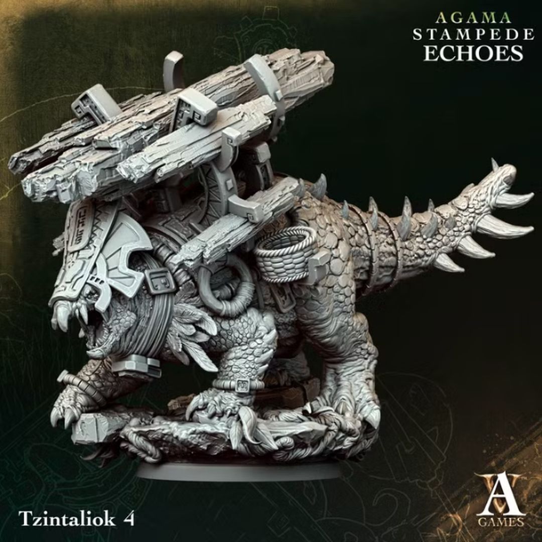 Agama - Tzintaliok 4