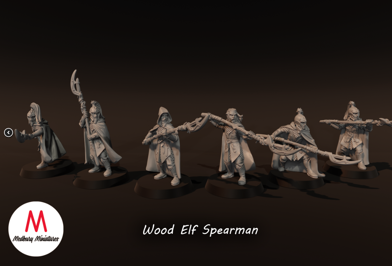 Wood Elf Spearmen